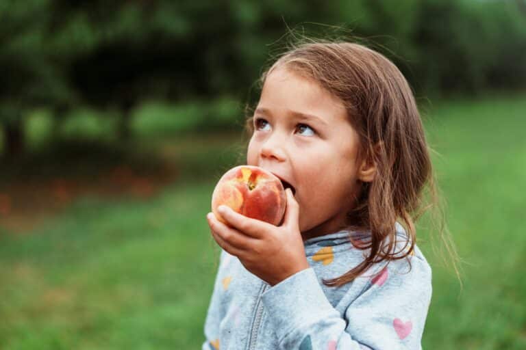 Young girl in a gray hoodie eating a peach outdoors with green grass in the background.